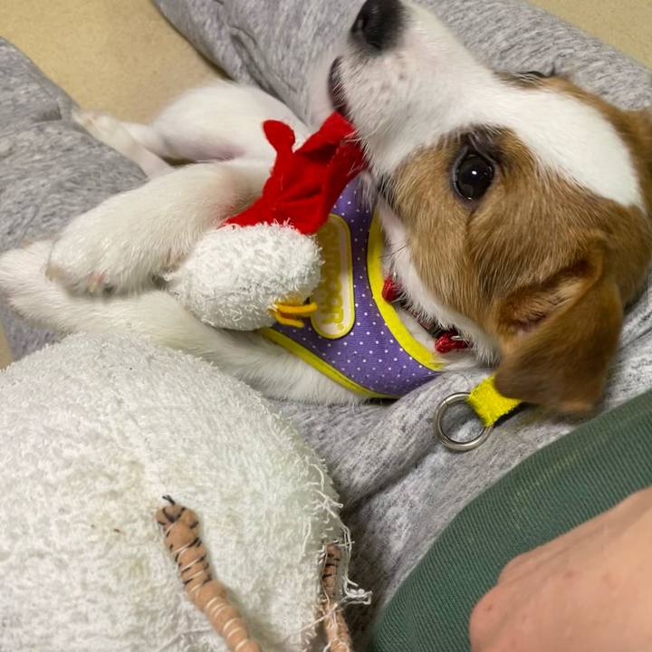 44bfdc07 27fa 4ab7 bfba 9665547866bf 1612655168658