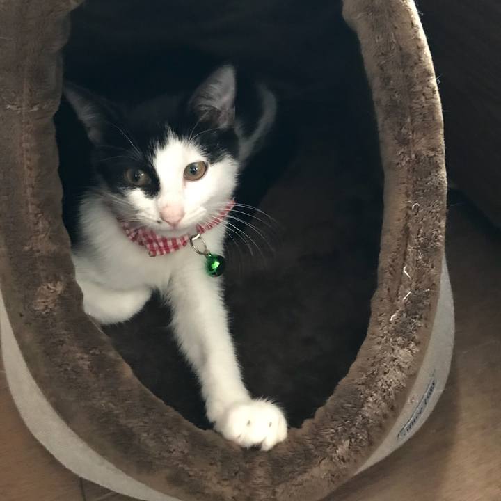 44bff216 736e 4cf9 8110 24778758a0d4 1511148908480