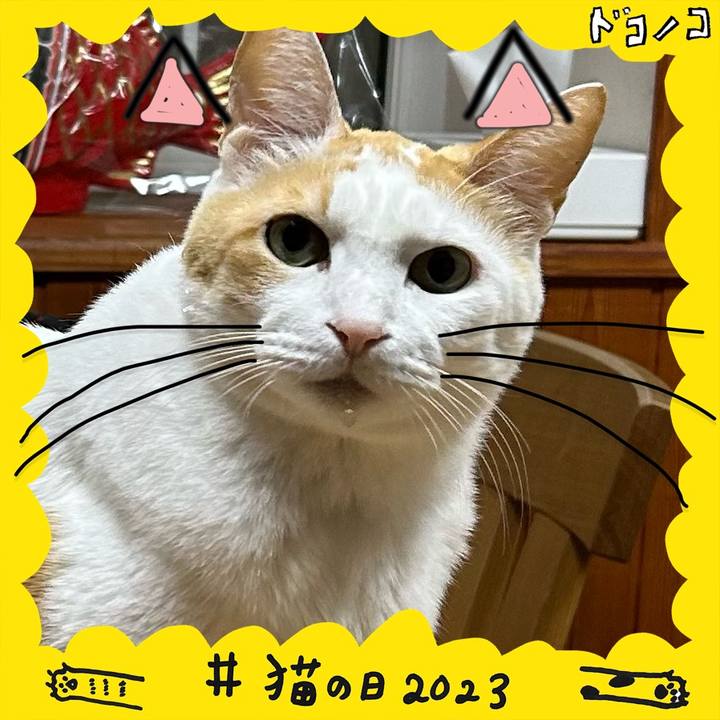 44bffeff 5b9b 4d6f bf2f f4f720175dc8 1677062441191