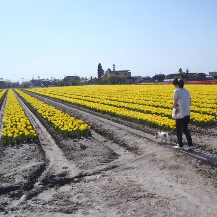 44c001c5 0a2d 4051 98fc 83d068433c1a 1524486046752