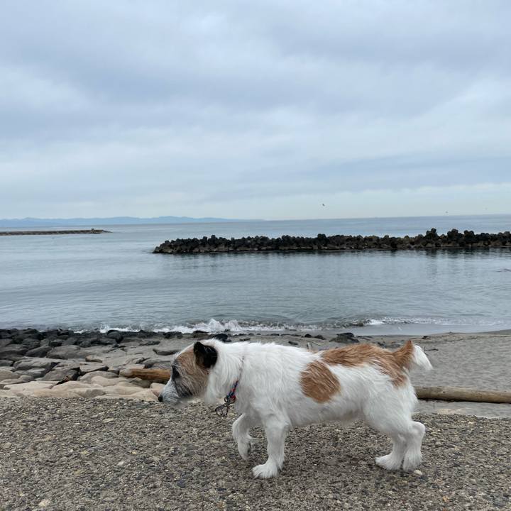 44c003ad db17 4f8b a507 b1db49d31cfc 1652056346978