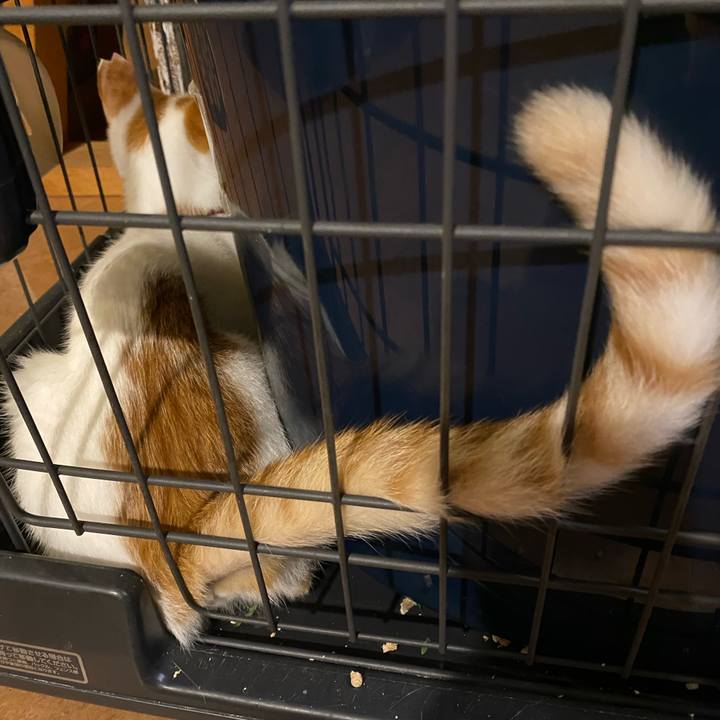 44c01938 3a05 4751 bd65 e723ff578470 1759916819711