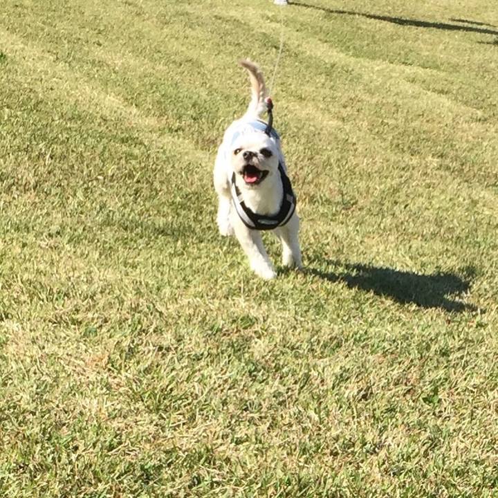 44c02fad 0556 4567 bf07 fa0375eef255 1540797162467