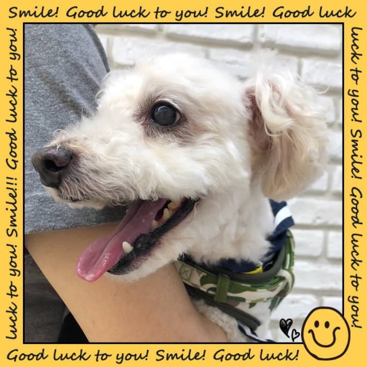 44c046d8 04c5 4868 bddd e04971d3d9e3 1532300081103