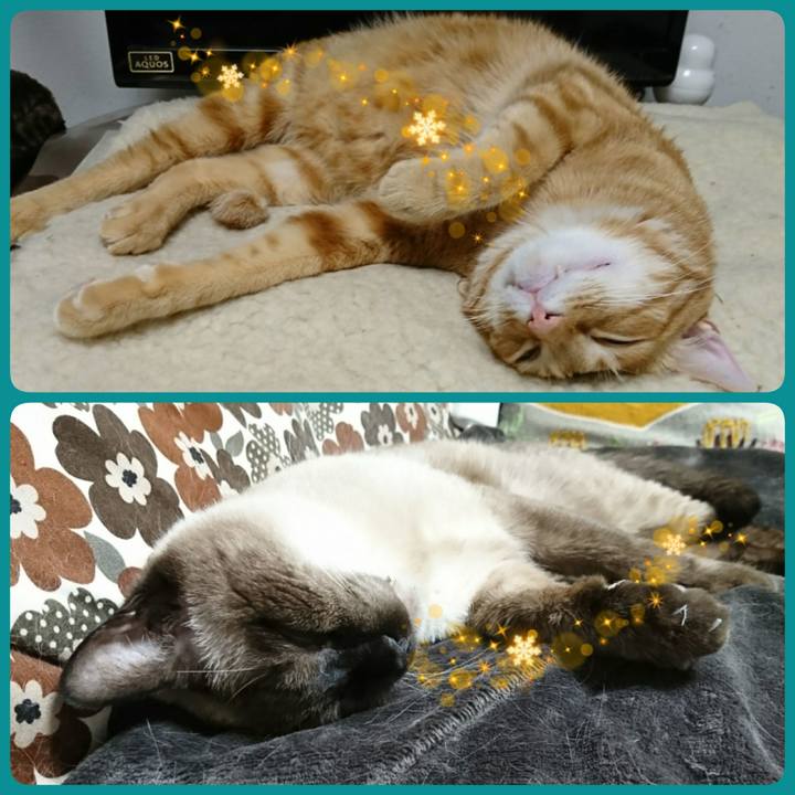 44c07bf8 dc75 4dff 84ca 64f7061afb40 1544742815107