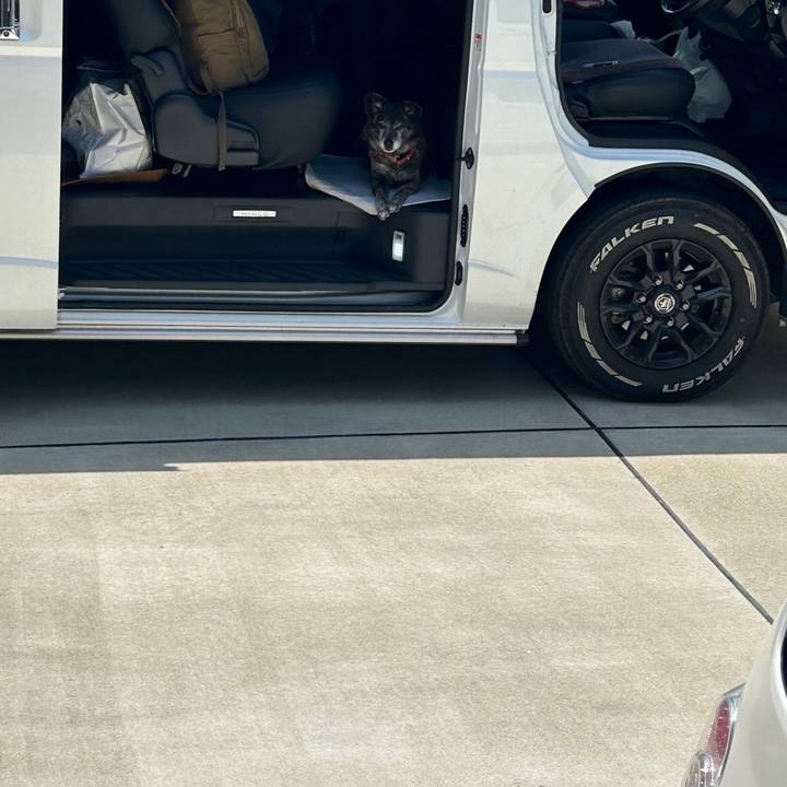 44c087bf a254 4d9f a62a a3e15651ba03 1715074546425