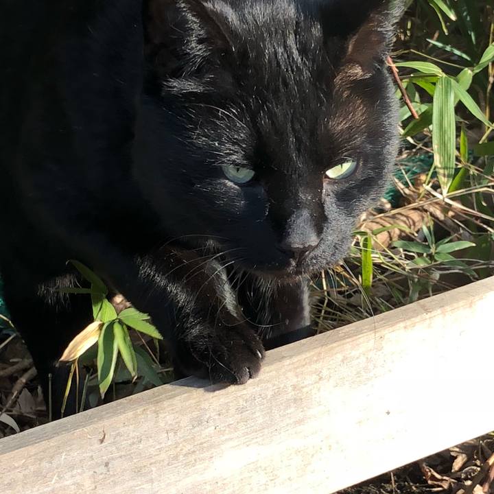 44c09677 80d6 4182 93b9 cea4887982f0 1521103522997