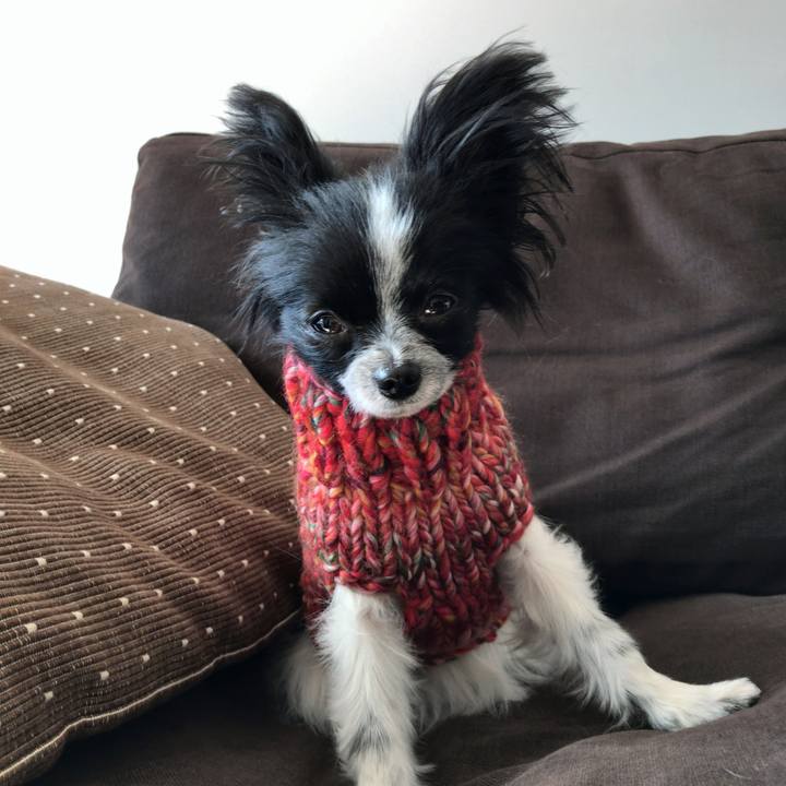 44c0a21a 5332 49a1 a738 18bd1006e4b1 1514174922035