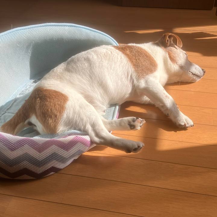 44c0a706 f87e 492c 9da2 f504a484a185 1775863686336