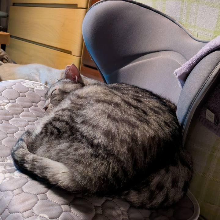 44c0bd18 efd6 4c58 b3f7 1c6c18fcfdc8 1762105967277