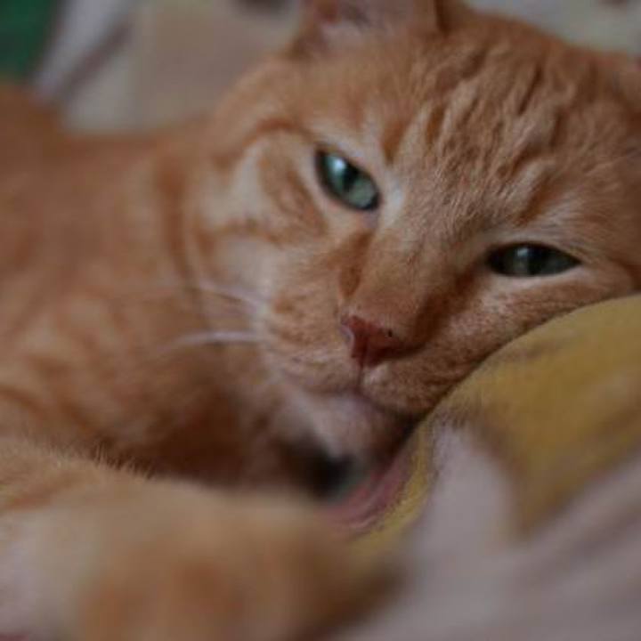 44c0cfb8 5076 47ae 8b34 51260fea9411 1606437493083