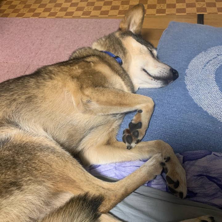 44c0d319 134d 4bff a461 64c6fd4ae1a5 1577619291209