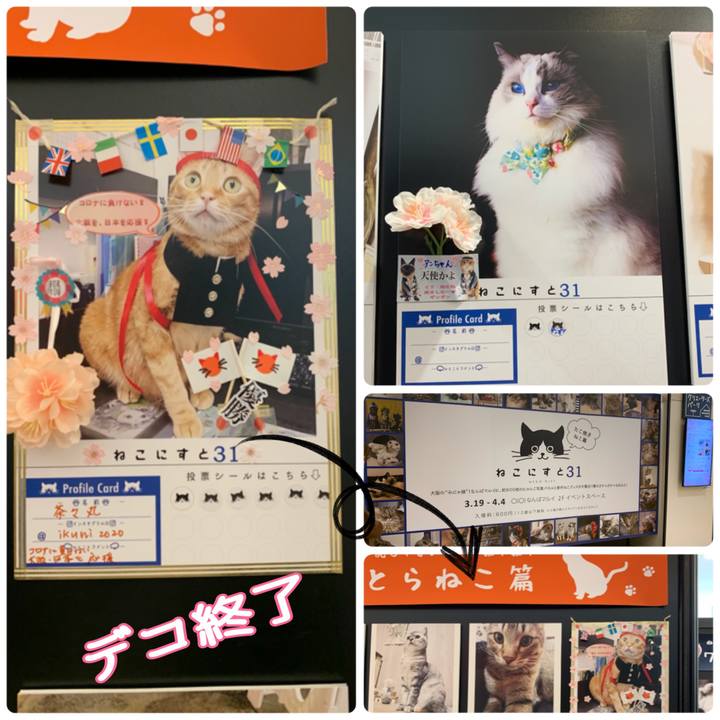 44c12d9c 3cd6 416c a8b2 68aea960ef44 1616138281083