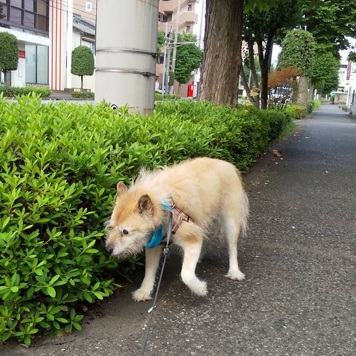 44c159e8 f08e 40bd a75d 5fb1d57596c2 1596933541442