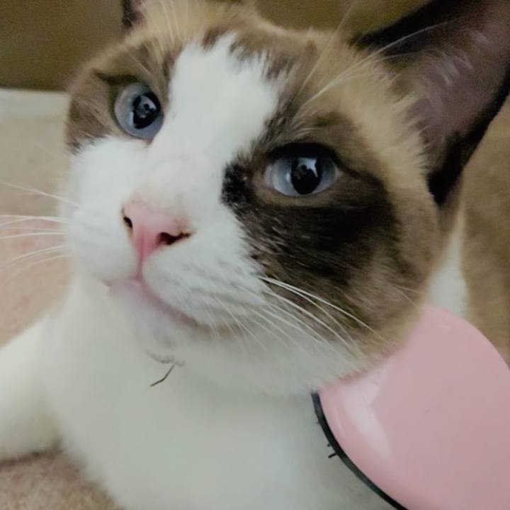 44c16d2d f24c 4055 868f 8962a05f48b4 1760868049268