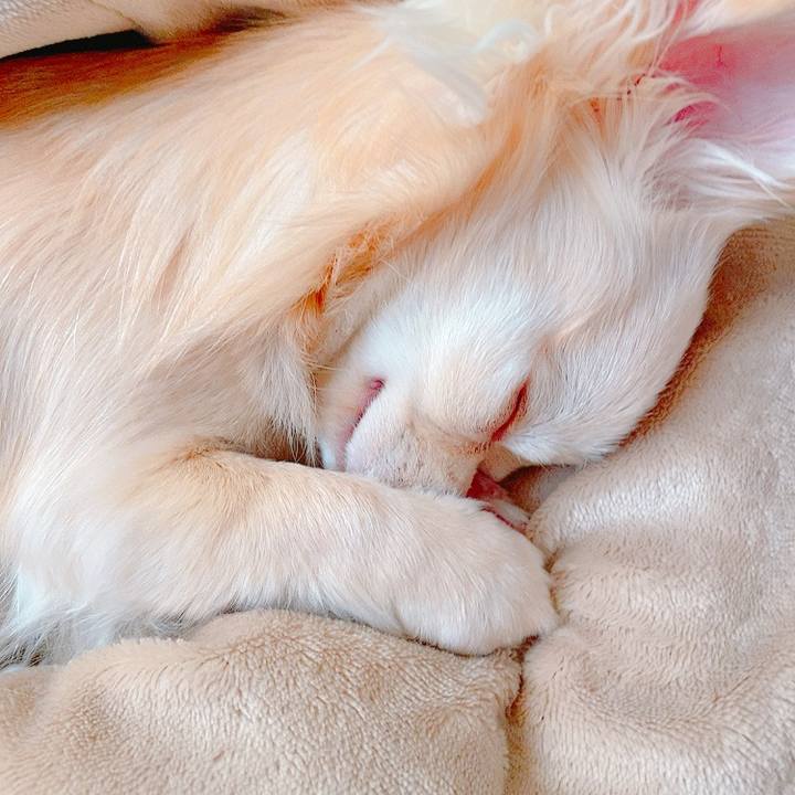 44c175b1 90c3 48c5 b295 56cd7d2408a1 1620444161222