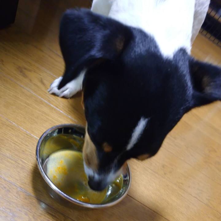 44c19b6e a910 4e1d bfbd 7d65a2141c9f 1610450605497