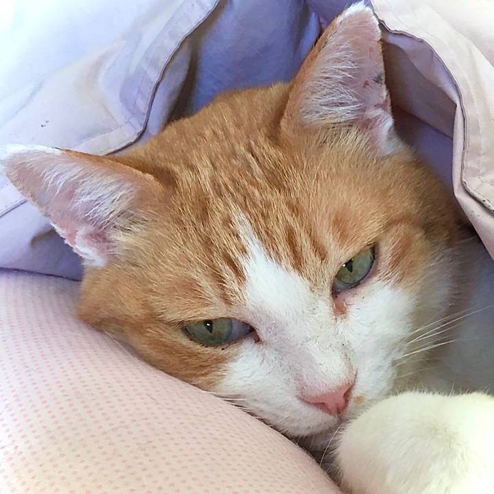 44c20891 201e 4b2a 8063 519bdd5ed4ab 1617956074191