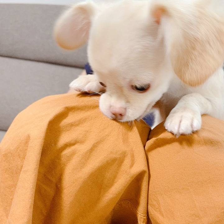 44c22e09 7029 4769 be21 3826c9c3a6dd 1592441123808