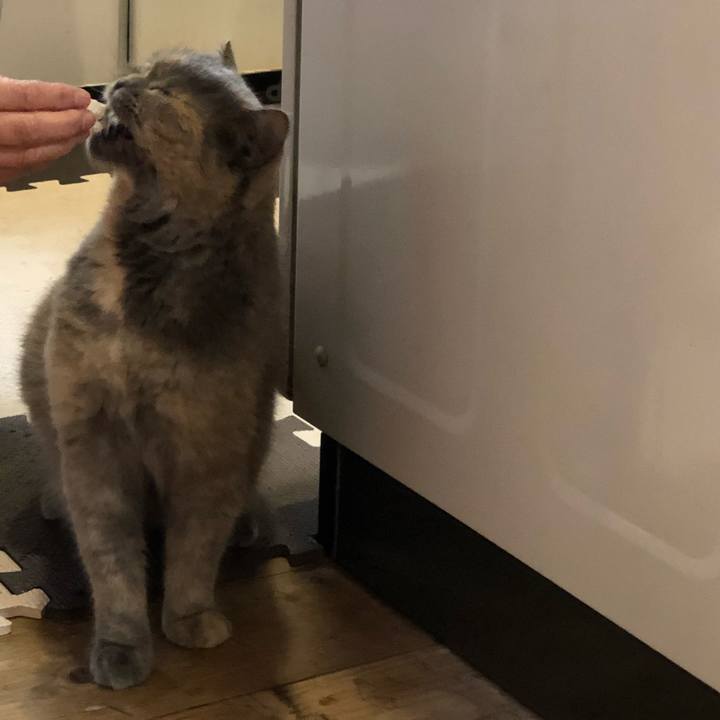 44c25423 db3c 4030 bc6c 99e23f812b60 1666018179297