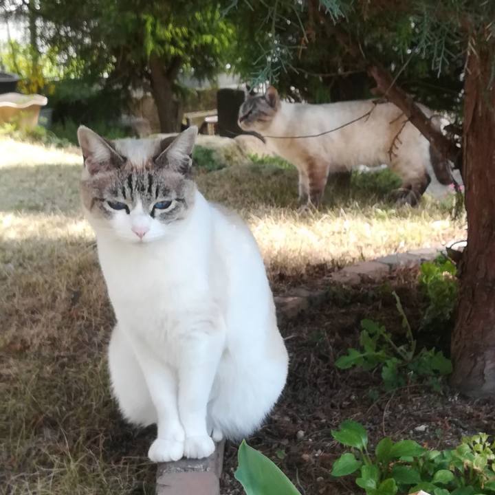 44c26695 f6ba 4973 95fd 9dd5d82e29c0 1522126152602