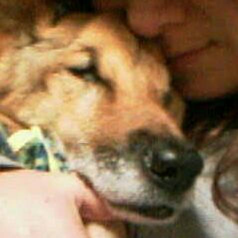 44c29def f69f 4cf6 b901 472a733cead2 1578457971935