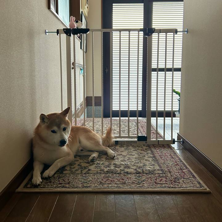 44c2c31d 4c2a 48b1 b105 c6bfb9979e20 1722338419397