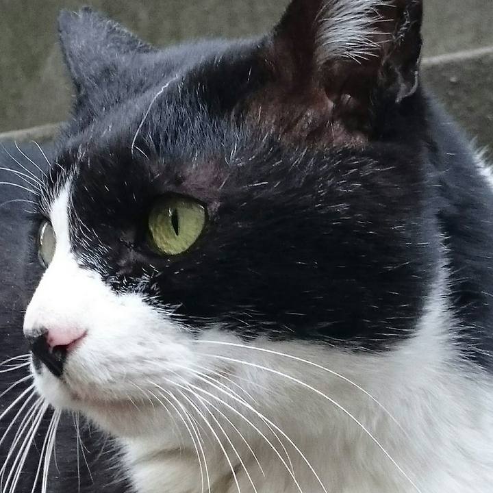 44c2c872 02ea 4809 9b53 4985724949c1 1517285989527