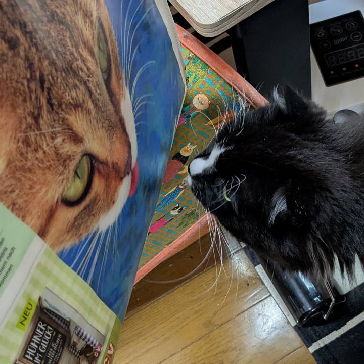 44c2e253 e0a3 401c 8155 eccd38179627 1744237440542