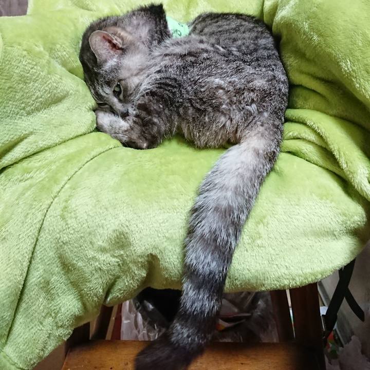 44c305ea 9f3e 4b29 ae12 21a768fbb874 1587263444414