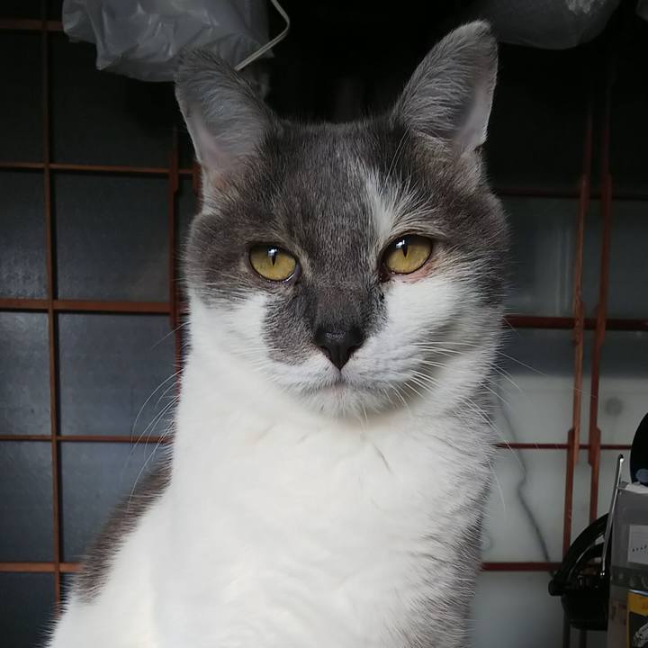 44c3174f ad0c 4b18 ad8e 44a5fa1a762f 1578552831436