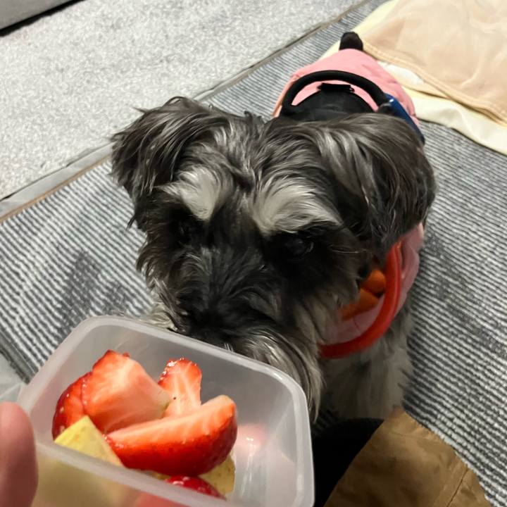 44c32691 c39e 407d a69b 2e10737f46ea 1773912008026