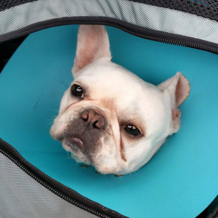 44c327dc 54b1 4be6 9a47 4ff7dc437b56 1654477616063