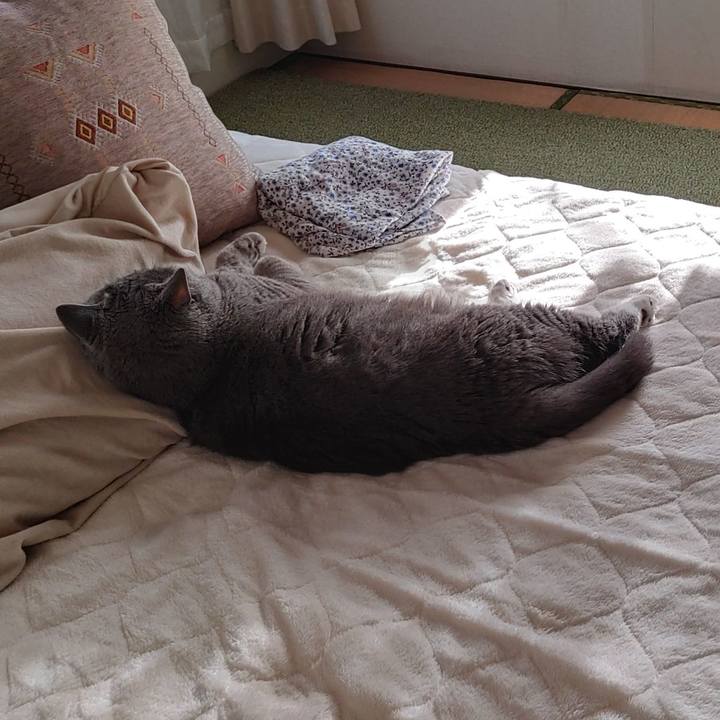 44c3286a 95a4 48ec b5fc a95a2c8995eb 1666420626704