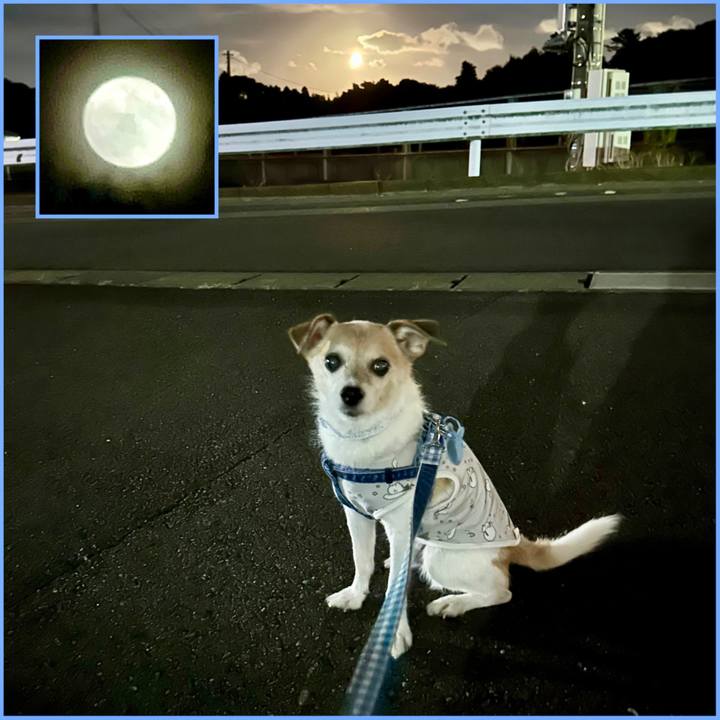 44c33121 a34b 458c 8438 81c2a4997a31 1693479602734