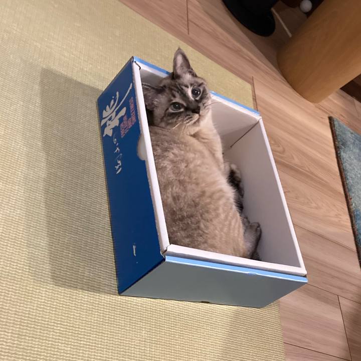 44c36d68 4463 4f11 9a23 b0974fe2bb96 1755322286028