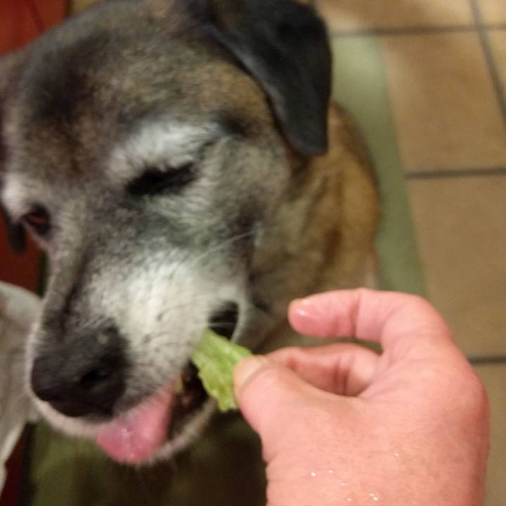 44c37d51 54de 48cd a7c6 7954dea1ec6c 1517272884732