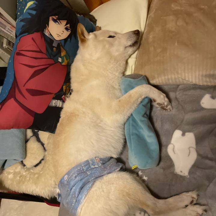 44c3d0ac 875d 489e 8117 58d066c93270 1647097321818