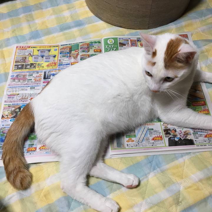 44c3e162 38a5 457e bc45 420b0a4688c2 1529071140527