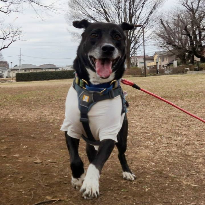 44c3f5f0 6b5f 4f95 ad40 b2b4cfc75b10 1708134174010