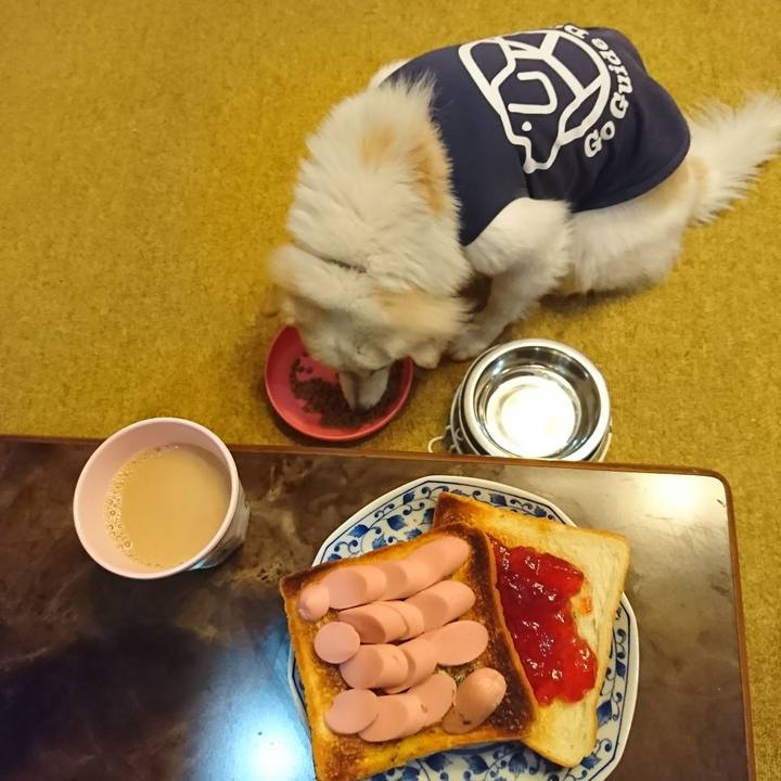 44c42cfe e23a 4f8d a045 ac6874bbd712 1549228533597