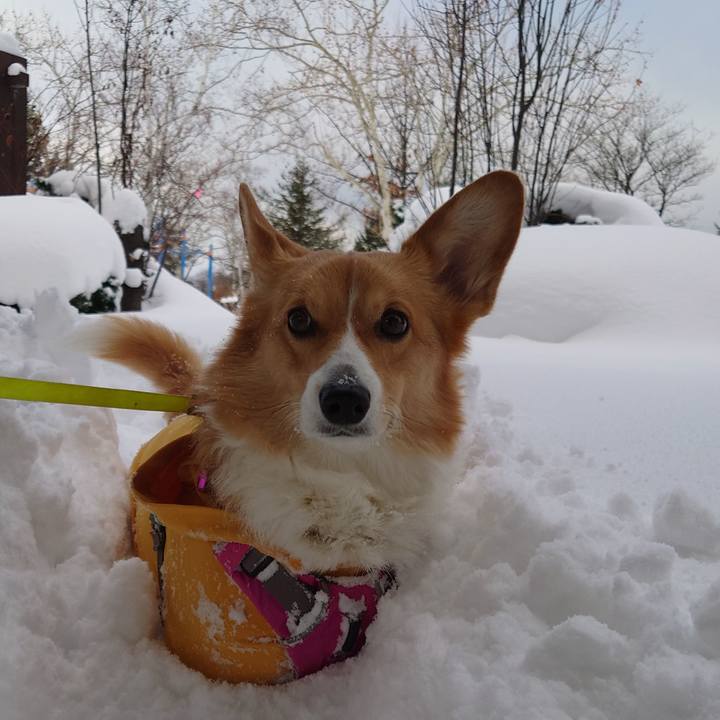 44c443cf 6ec5 4bc5 a6d4 a4d5fe8a0d52 1765586290998