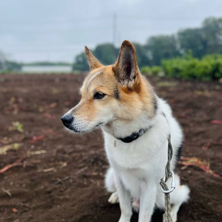 44c44621 9dc4 4672 9348 f5077db4b5f8 1761358331600