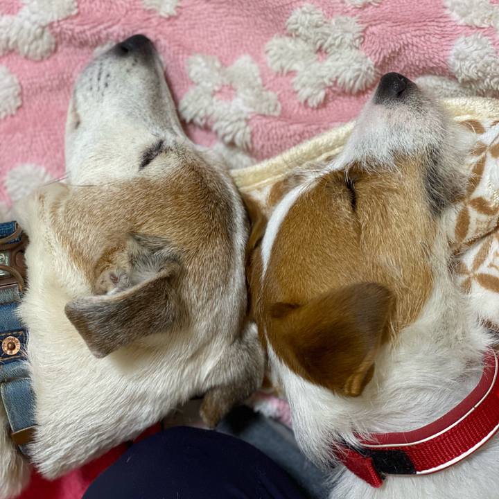 44c4559f b438 46f5 b240 2930aeee8cef 1646912458176