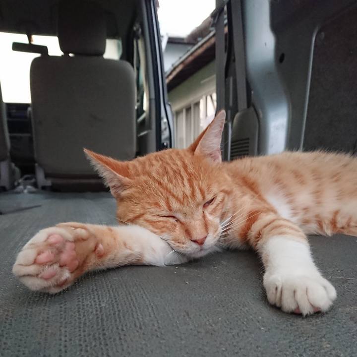 44c47605 1bed 4f6a 8fc9 adea89b4db64 1564566777780