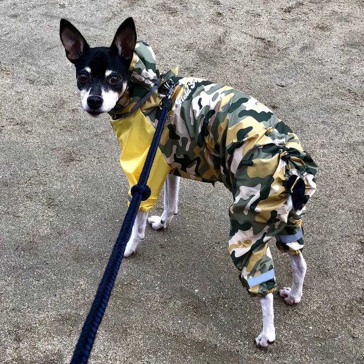 44c4b5a1 5c84 4e6b abcf 1d4cb1e972ce 1517836547290