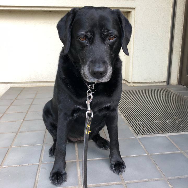 44c51349 bbbc 49d0 be81 4339c31eb581 1558056427912