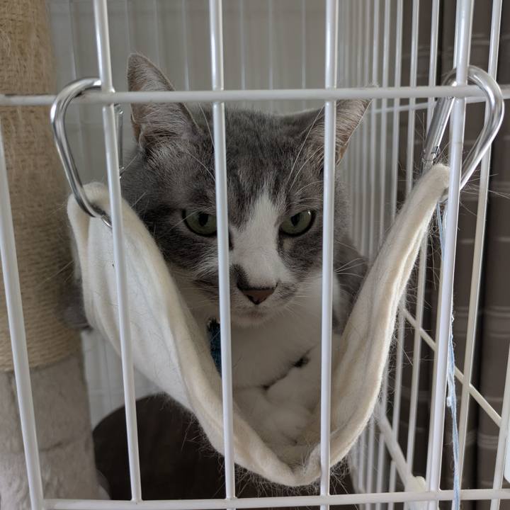 44c5279e 05bc 4855 ad4d 9926edd249d6 1759455758663