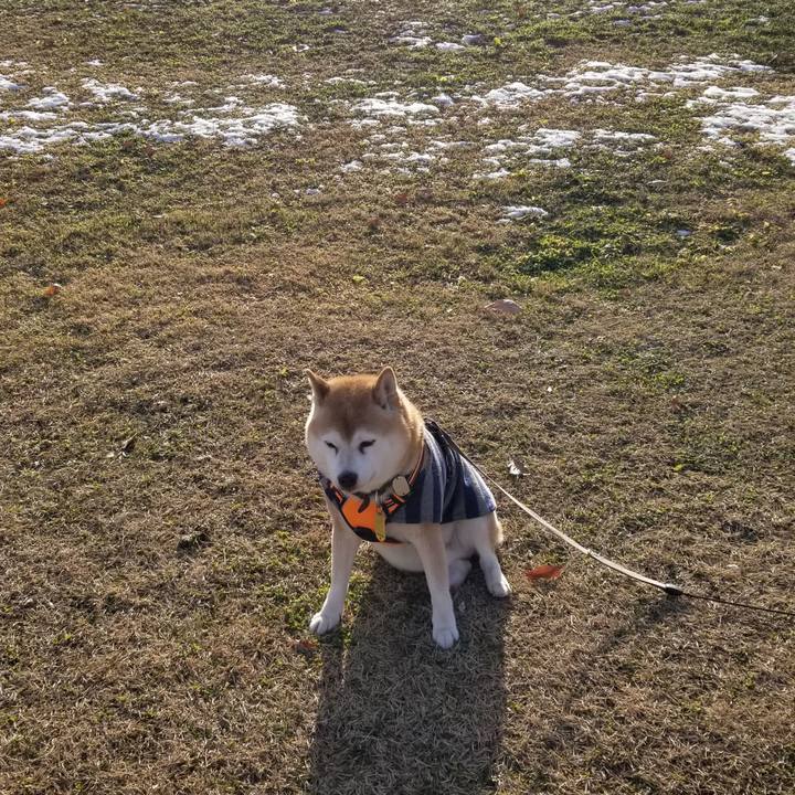 44c5ba88 00a2 4ea5 b4fe aa5a8bdda8e0 1639546354122