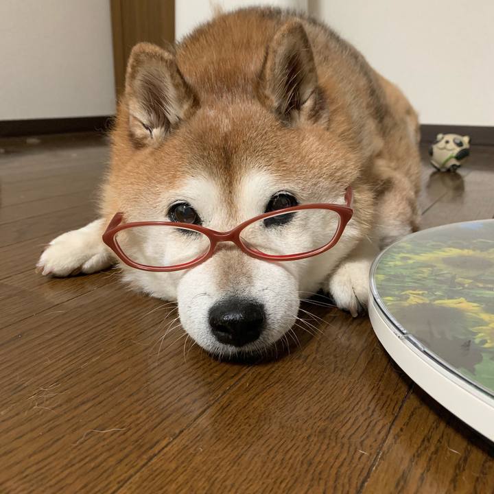 44c5d90d a6dc 41ea 8893 dab96b782646 1565702932079